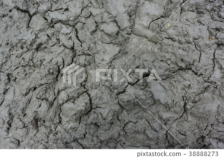 The texture of wet mud. 38888273