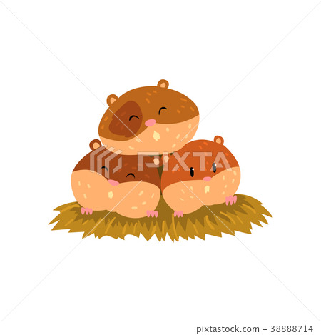 Cute cartoon hamster characters sleeping, funny Cute cartoon hamster characters sleeping, funny 38888714