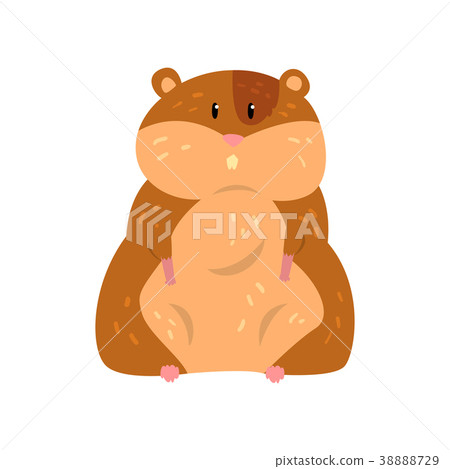 Cute cartoon hamster character sitting, funny Cute cartoon hamster character sitting, funny 38888729