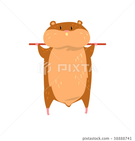 Cute cartoon hamster character hanging on a stick Cute cartoon hamster character hanging on a stick 38888741