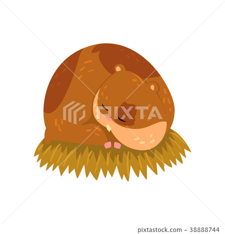 Cute cartoon hamster character sleeping on the Cute cartoon hamster character sleeping on the 38888744