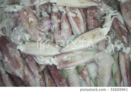 THAILAND CHONBURI ANG SILA FISH MARKET 38889961