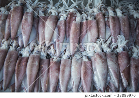 THAILAND CHONBURI ANG SILA FISH MARKET THAILAND CHONBURI ANG SILA FISH MARKET 38889976