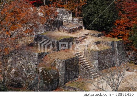 [Country-designated historical site, continued Japan 100 castles] Naegijo Castle Oyakura 38891430