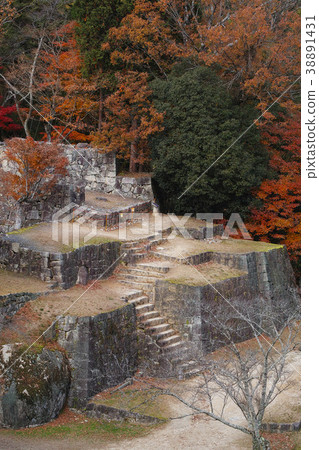 [Country-designated historical site, continued Japan 100 castles] Naegijo Castle Oyakura 38891431