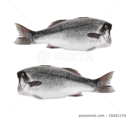 fishes without head on a white background 38892239