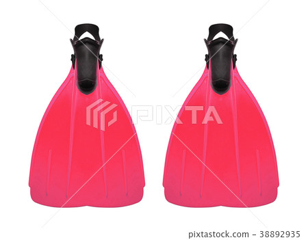 flippers isolated on white 38892935