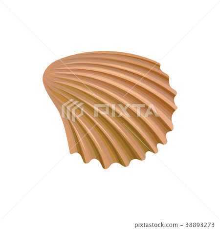 Colorful saltwater scallop sea shell isolated Vector Image