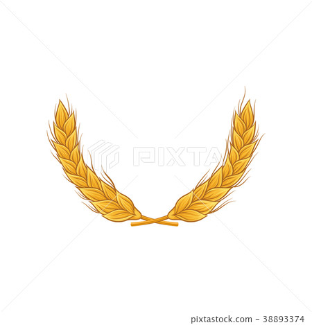Composition of two dry wheat spikelets. Cereal Composition of two dry wheat spikelets. Cereal 38893374