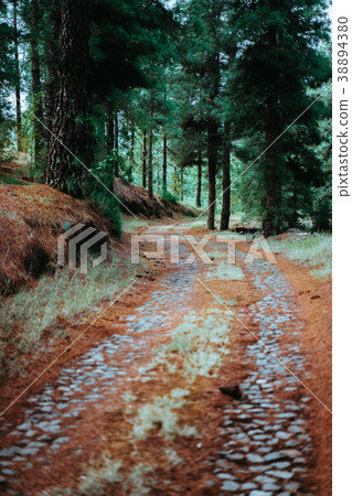 Old winding cobbledpath leading through an 38894380