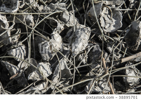 芳苑濕地 芳苑濕地 38895701