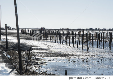 Fangyuan Wetland Fangyuan Wetland 38895707