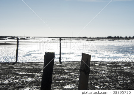 芳苑濕地 38895730