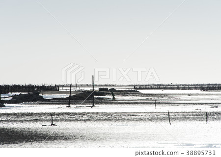 芳苑濕地 38895731