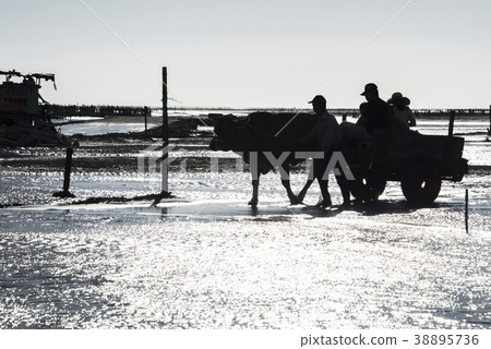 芳苑濕地 38895736