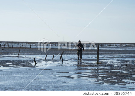 芳苑濕地 芳苑濕地 38895744