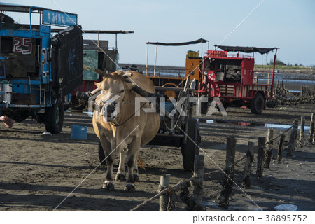 Fangyuan Wetland Fangyuan Wetland 38895752