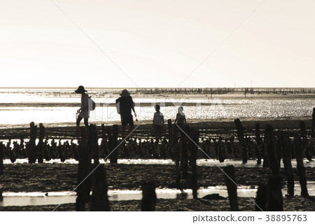 芳苑濕地 芳苑濕地 38895763