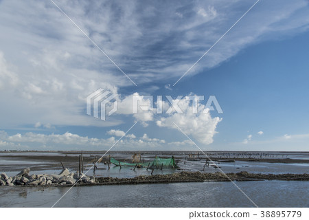 Fangyuan Wetland 38895779