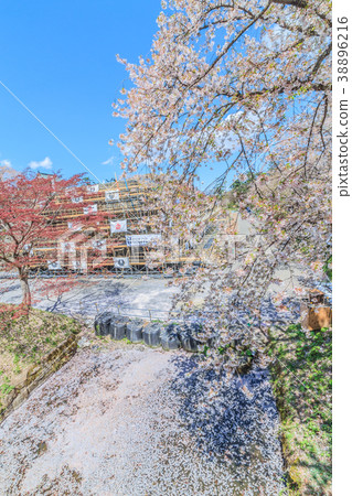 Landscape of Hirosaki Castle after the Tenshu move in spring 38896216