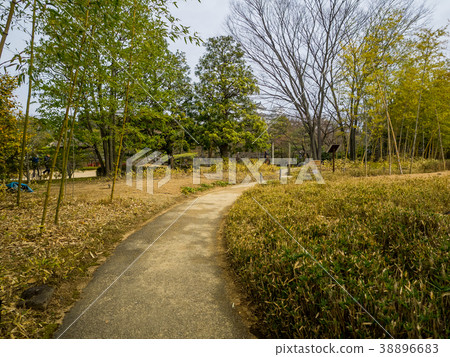 A beautiful garden in Japan Himeji Castle West Imperial Palace ruin garden Kokoen Himeji Park Himeji Park Japanese garden in Himeji Castle 38896683