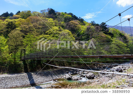 栃木縣那須鹽原市Itamo室中川和吊橋(五月) 栃木縣那須鹽原市Itamo室中川和吊橋(五月) 38898950