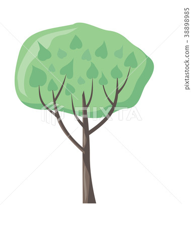 Vector Tree with Green Leaves. Green Stylish Plant 38898985