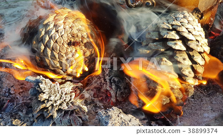 Burning pine cones on the beach Burning pine cones on the beach 38899374