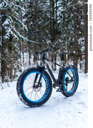 Fatbike in the winter forest 38899446