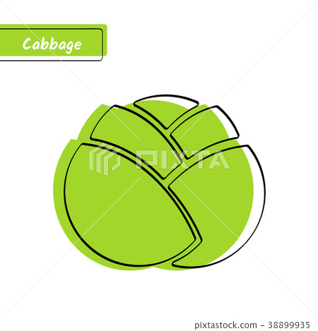 Vegetable education card with isolated cabbage Vegetable education card with isolated cabbage 38899935