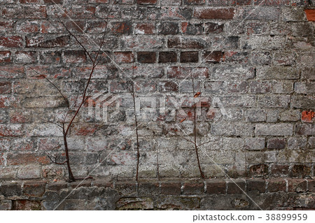 The texture is metallic. Industrial background 38899959