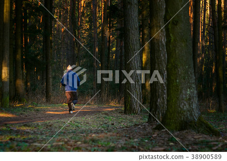Man trail running in the forest Man trail running in the forest 38900589