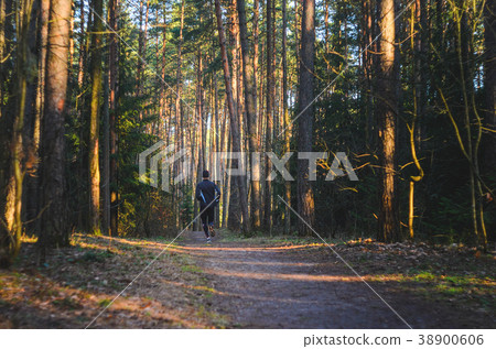 Man trail running in the forest 38900606