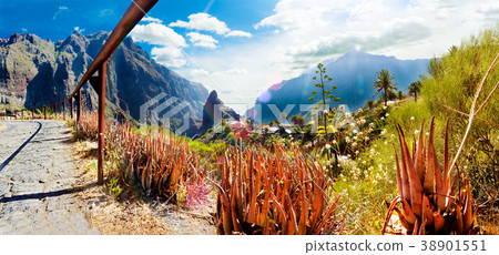 Scenery valley in Spain.Nature landscape. 38901551