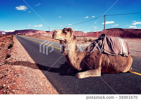 Road trips and adventures.Morocco landscape. 38901670