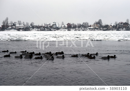 River at winter in the countryside. 38903110