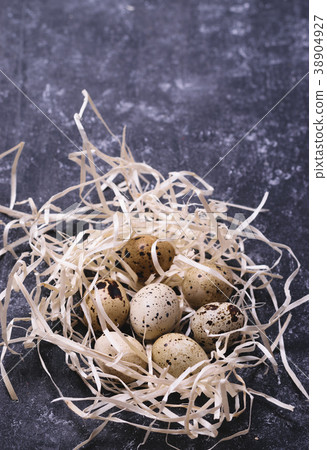 Quail eggs in nest 38904927