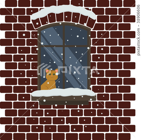 Cat in the sowy window. 38906606
