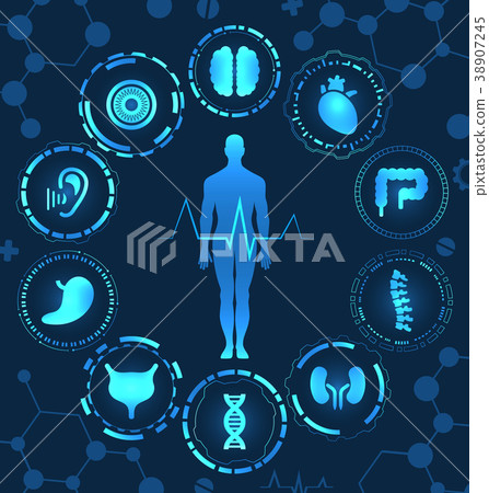 Medical Health Care, Human Organs, Virtual Body Hi Medical Health Care, Human Organs, Virtual Body Hi 38907245