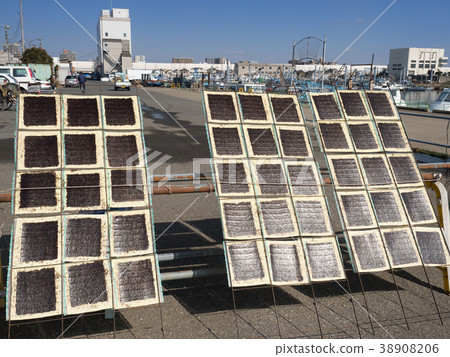 Sun dried seaweed 38908206