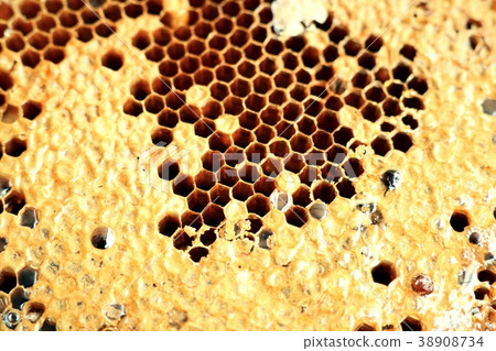 Sweet honeycomb background texture 38908734