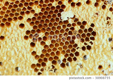 Sweet honeycomb background texture 38908735