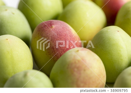 Kishu Minamitakaume plum simple white background easy to use Kishu Minamitakaume plum simple white background easy to use 38909795