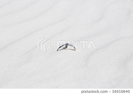 Sandy beach and rings Sandy beach and rings 38910640
