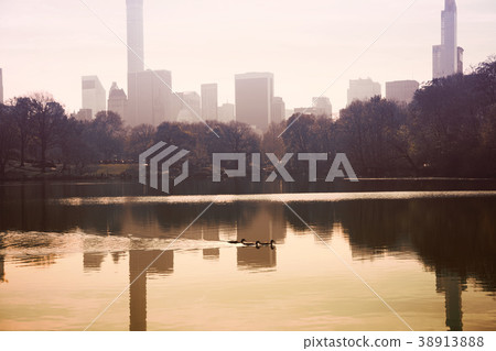 Towers  of skyscrapers reflected in the pond  38913888