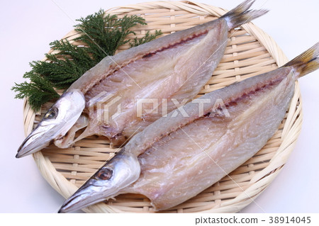 The opening of Camas The opening of Camas 38914045