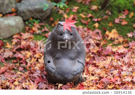 the fun garden doll at Enrian at Saganisonin the fun garden doll at Enrian at Saganisonin 38914136