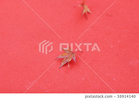 the maple leaf on the red cloth the maple leaf on the red cloth 38914140