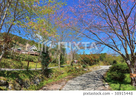 山上風景-新竹五峰山上人家,台灣 山上風景-新竹五峰山上人家,台灣 38915448