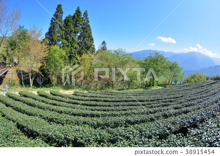 Mountain Scenery - Hsinchu Wufeng Mountain People, Taiwan Mountain Scenery - Hsinchu Wufeng Mountain People, Taiwan 38915454